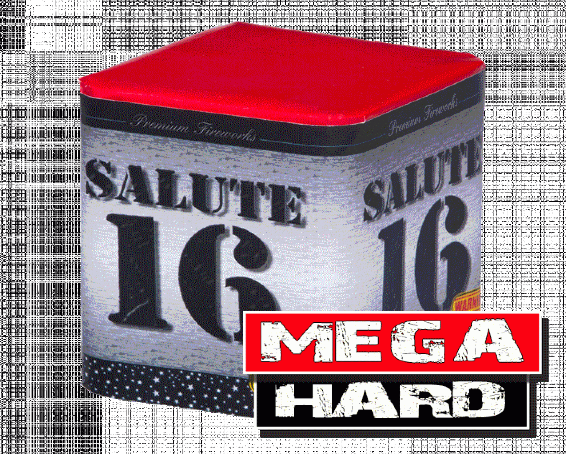 Salute 16 Den Bleker Vuurwerk