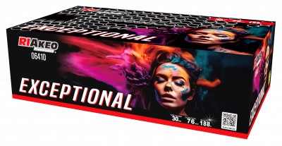 Exceptional Box