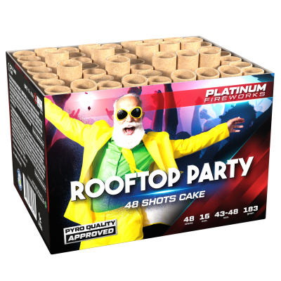 Rooftop Party