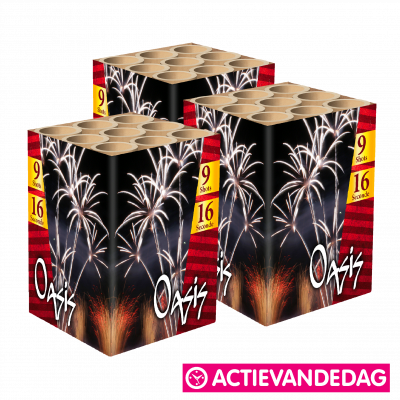 Oasis (ActievandeDag) - 3 stuks