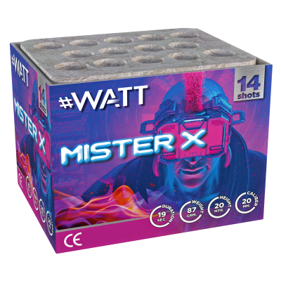 Mister X