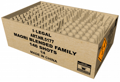 Maori Blended Family