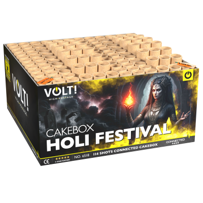 Holi Festival (1)