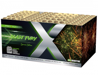 Blast Fury 113's