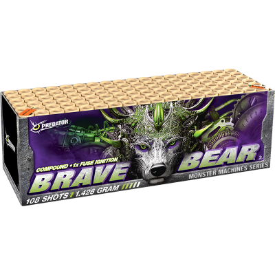 Brave Bear Box