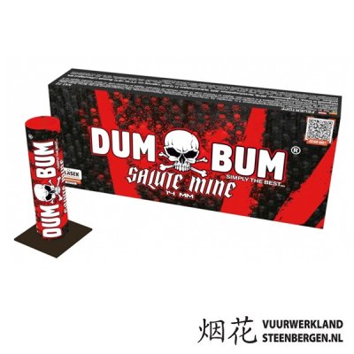 DumBum Salute Mine