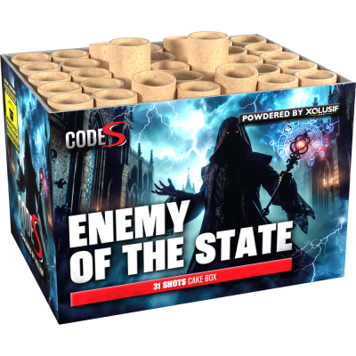 Enemy of the State