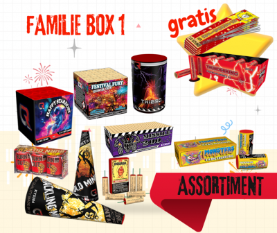 Familie Box 1 | Art. 70