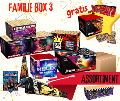 Familie Box 3 | Art. 910