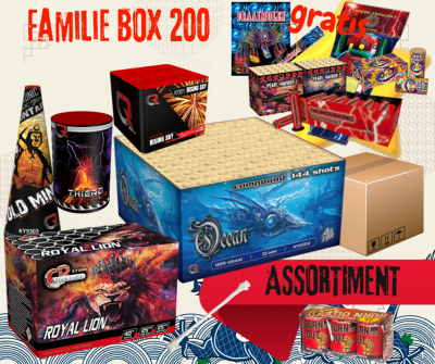Familie Box 200 | Art. 8200