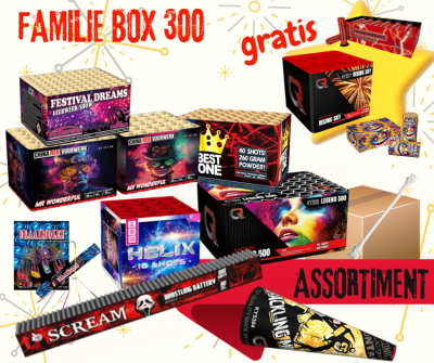 Familie Box 300 | Art. 950