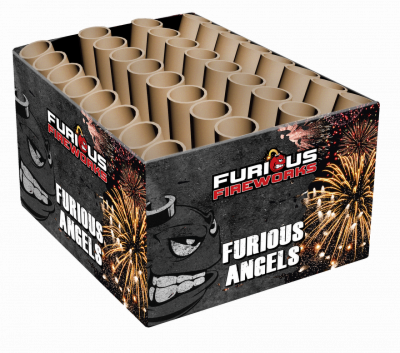 Furious Angels