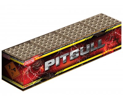 Pitbull