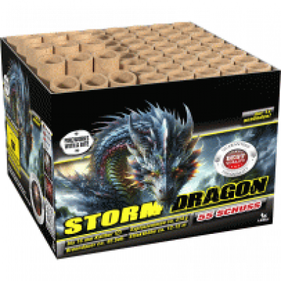 Storm Dragon