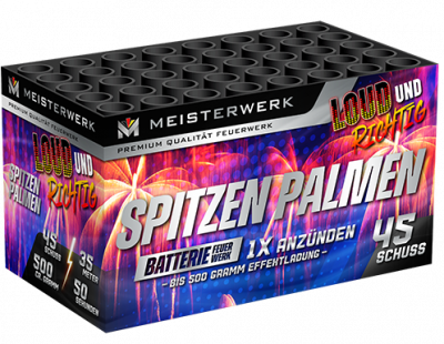 Spitzen Palmen 45 schuss