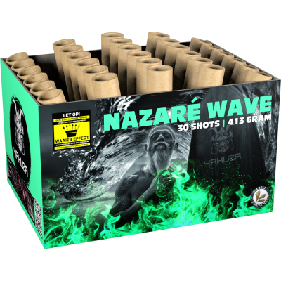 Nazaré Wave