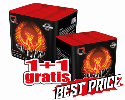 One of a Kind 1 + 1 gratis