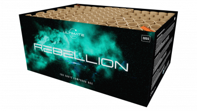 Rebellion 100 shots | Art. 3855