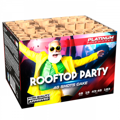 Rooftop Party
