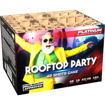 Rooftop Party