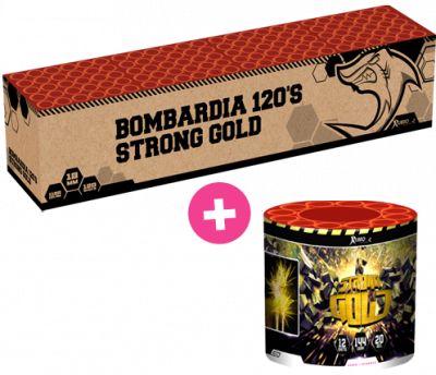 Bombardia + Golden Eye