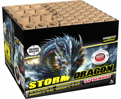 Storm Dragon