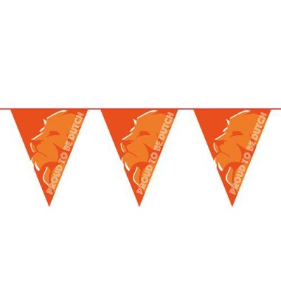 Vlaggenlijn oranje leeuw ’Proud to be Dutch’ (6m)