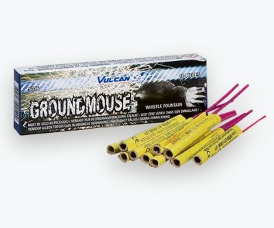 Ground Mouse