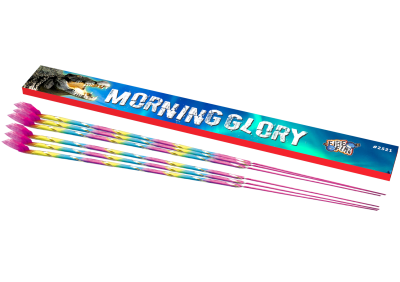 Morning Glory 6st