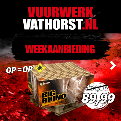 Big Rhino
