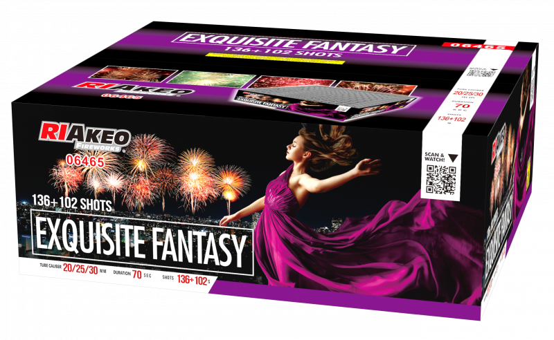 Exquisite Fantasy