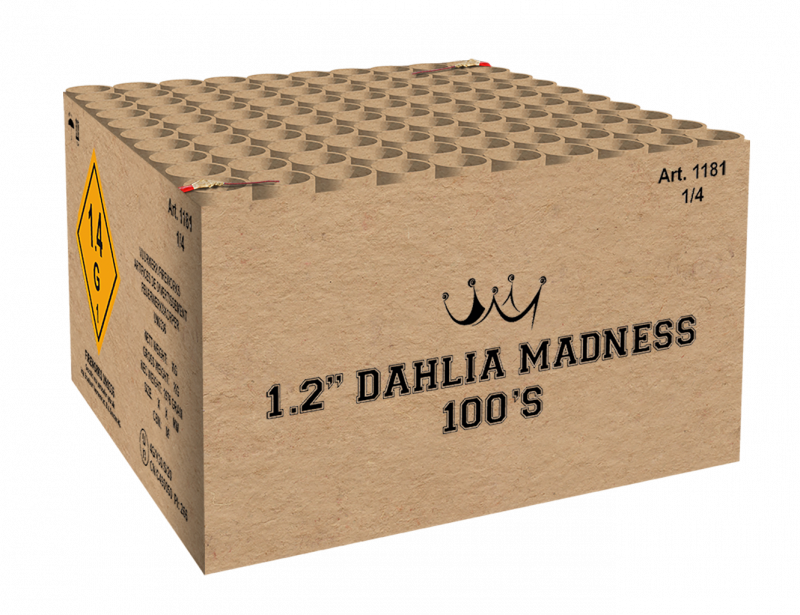 1.2"  Dahlia Madness 100'S