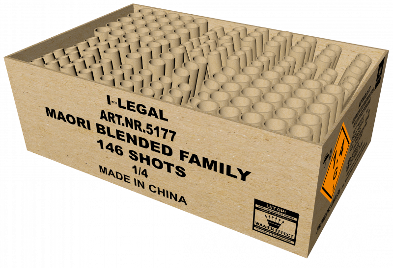 Maori Blended Family