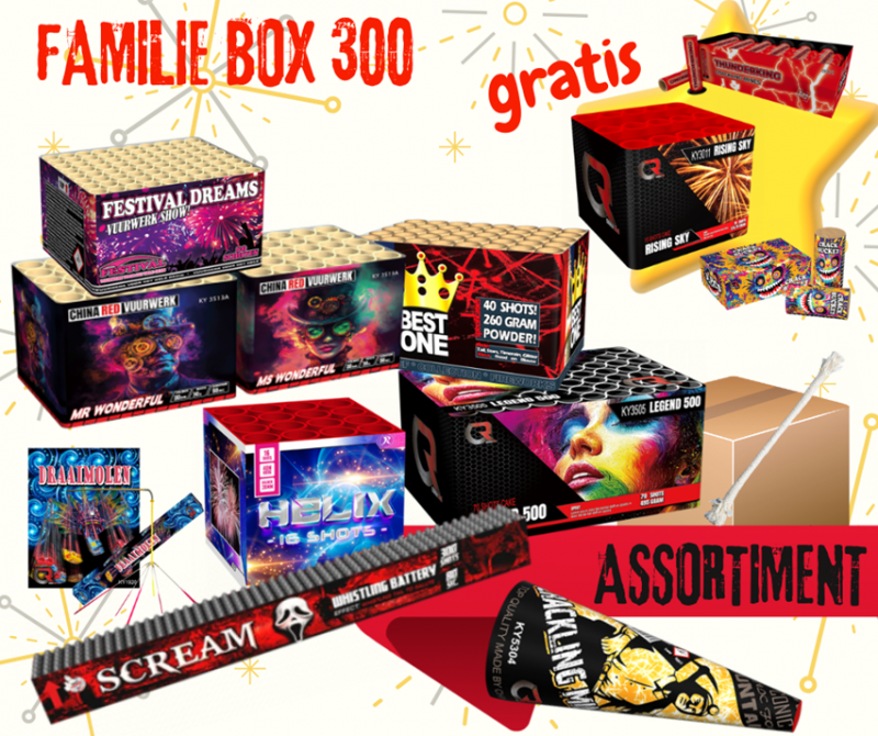Familie Box 300 | Art. 950