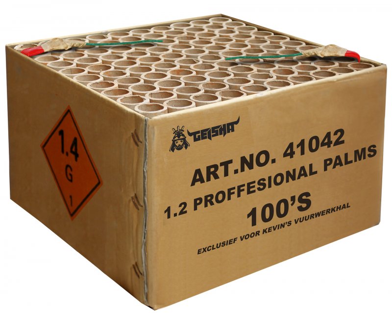 1.2 Professional Palms