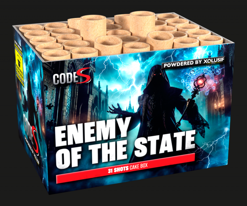 Enemy of the State