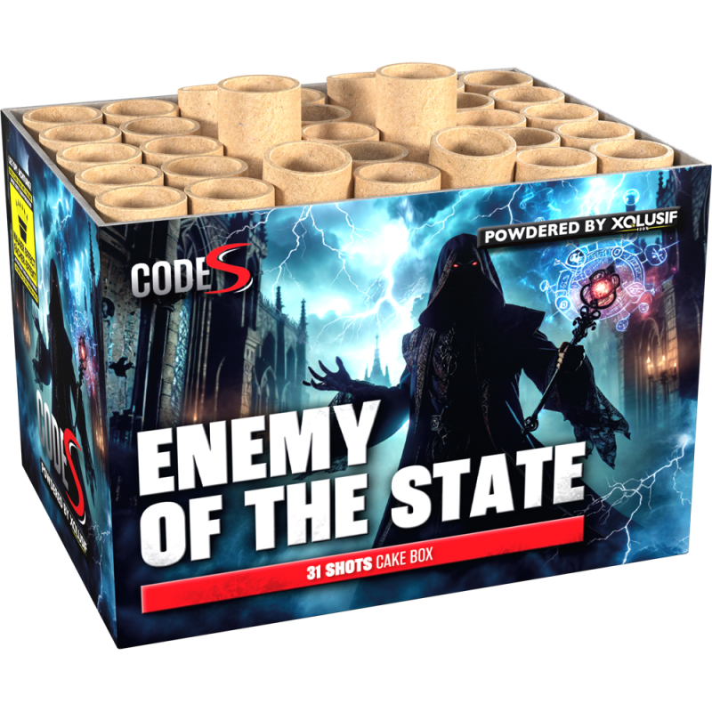Enemy of the State