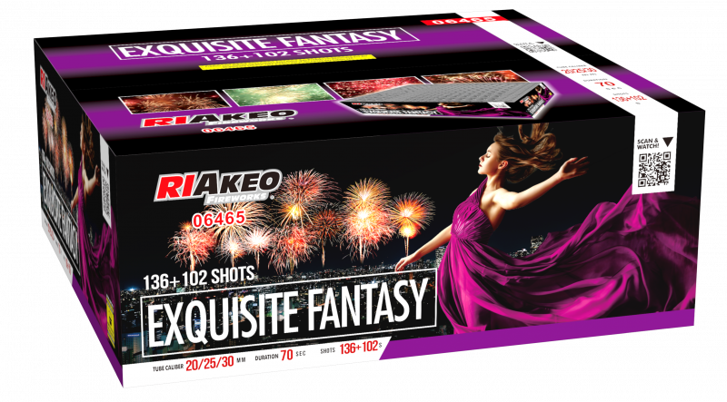 Exquisite Fantasy