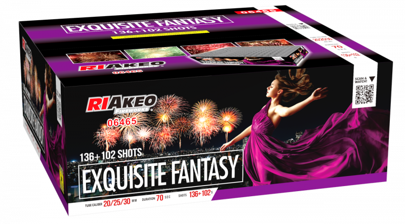 Exquisite Fantasy
