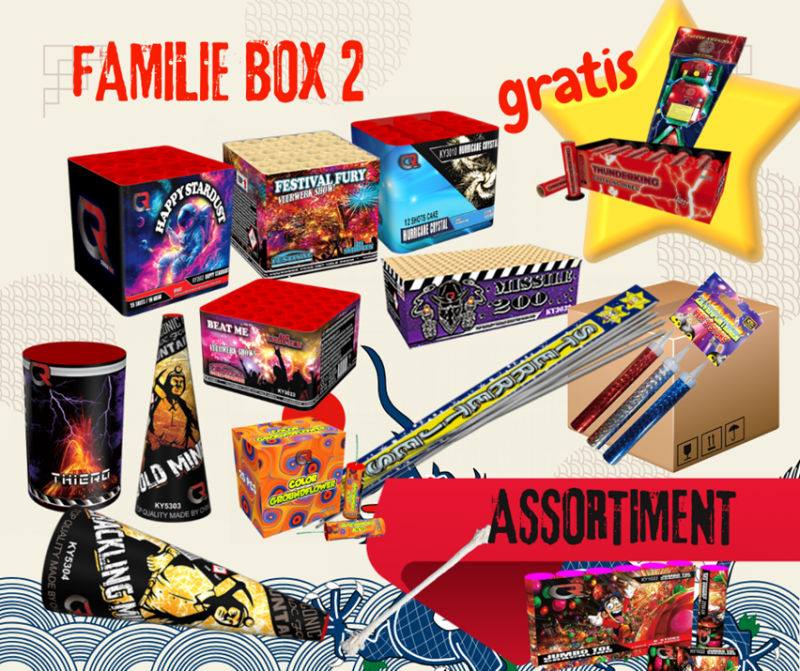 Familie Box 2 | Art. 810