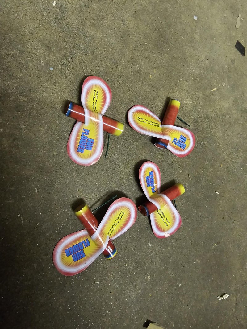 Grote bijen/Sun flower