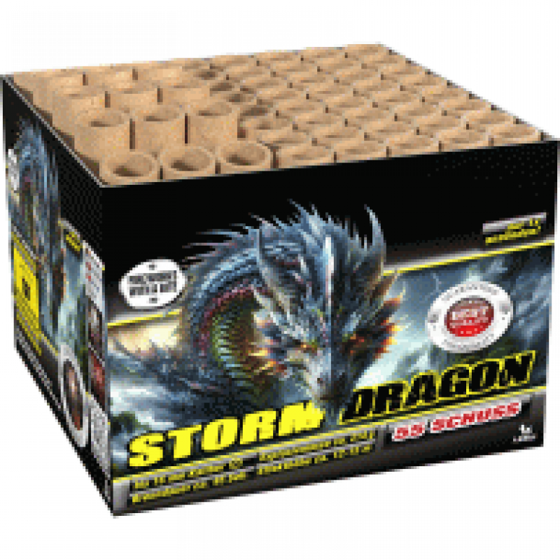 Storm Dragon