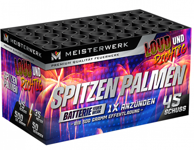 Spitzen Palmen 45 Schuss