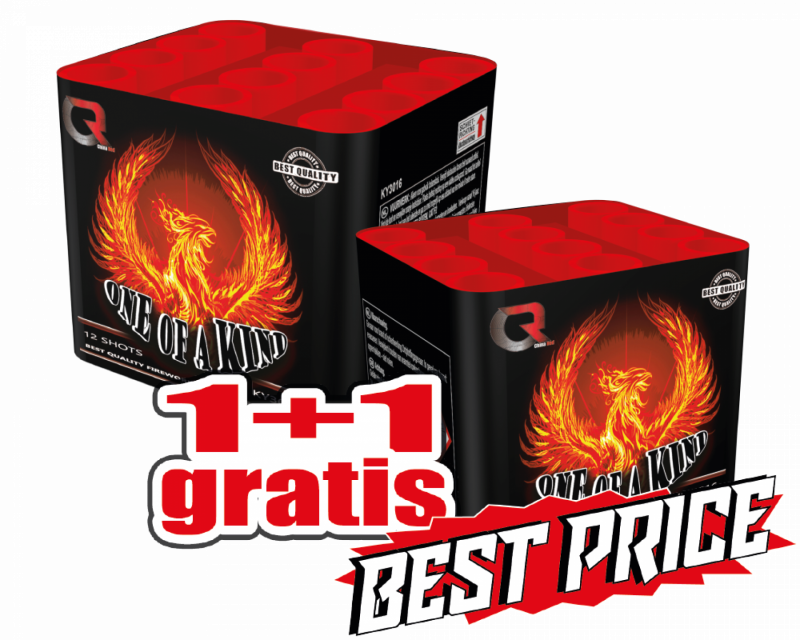 One of a Kind 1 + 1 gratis