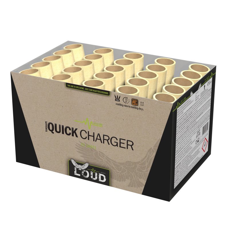 Quick Charger
