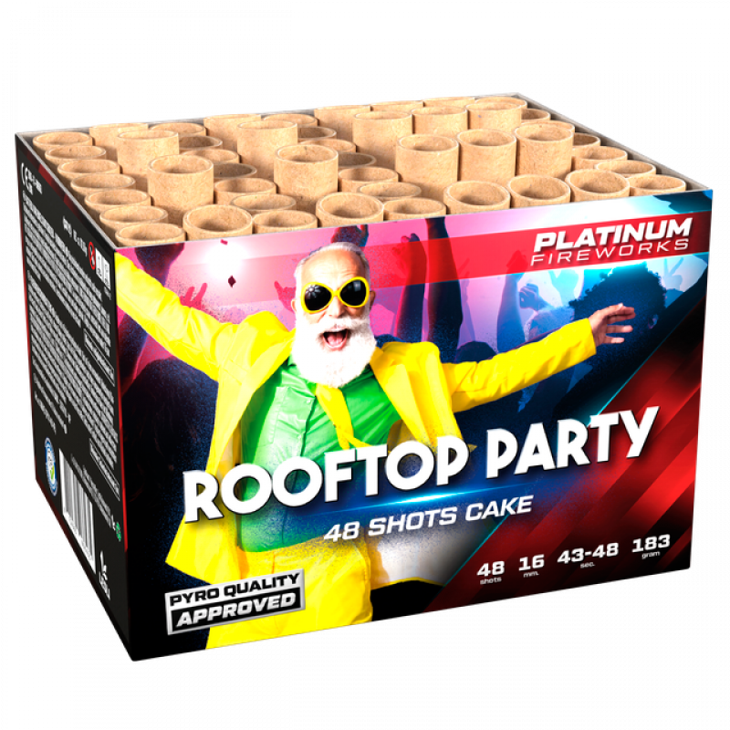 Rooftop Party