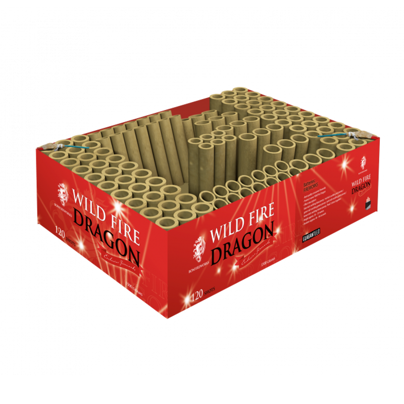 WILD FIRE DRAGON 120 SCHOTS