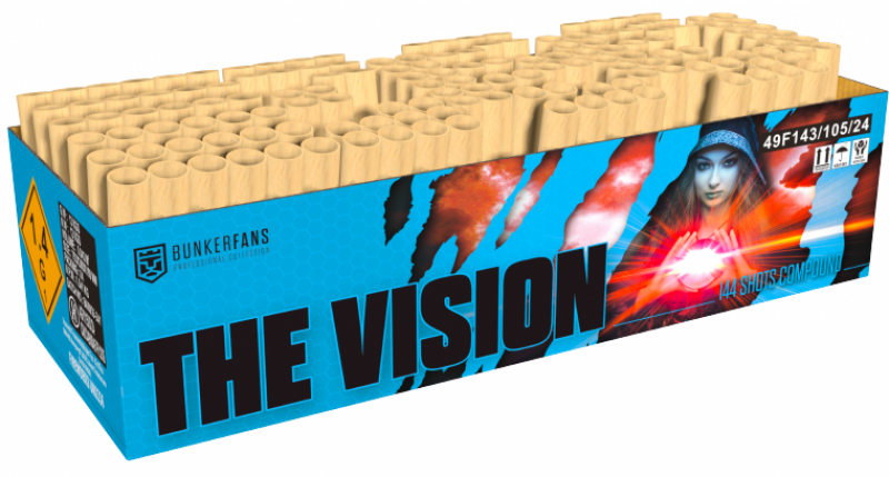 The Vision