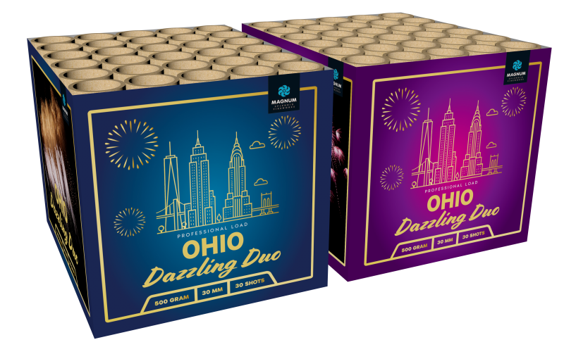 Ohio Dazzling Duo!