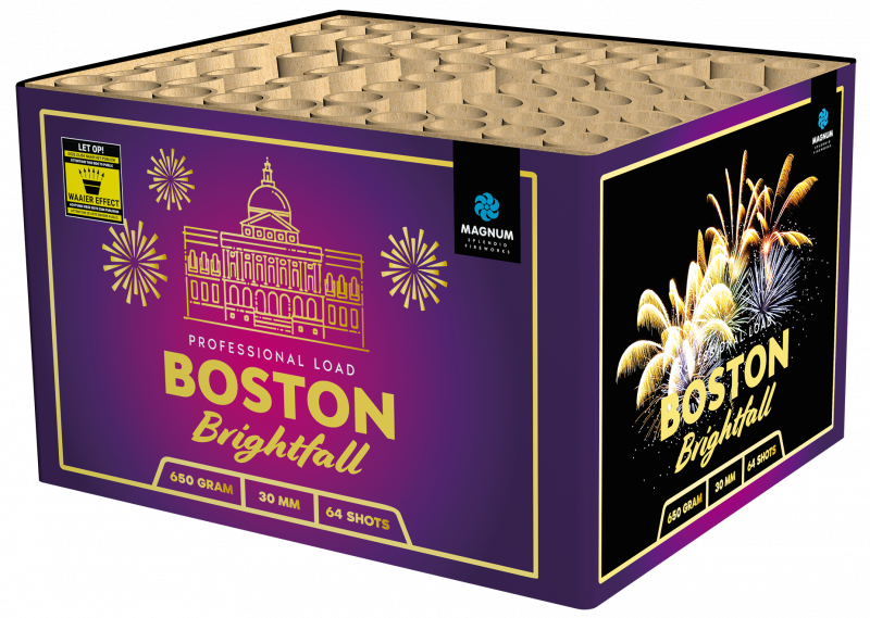 Boston Brightfall